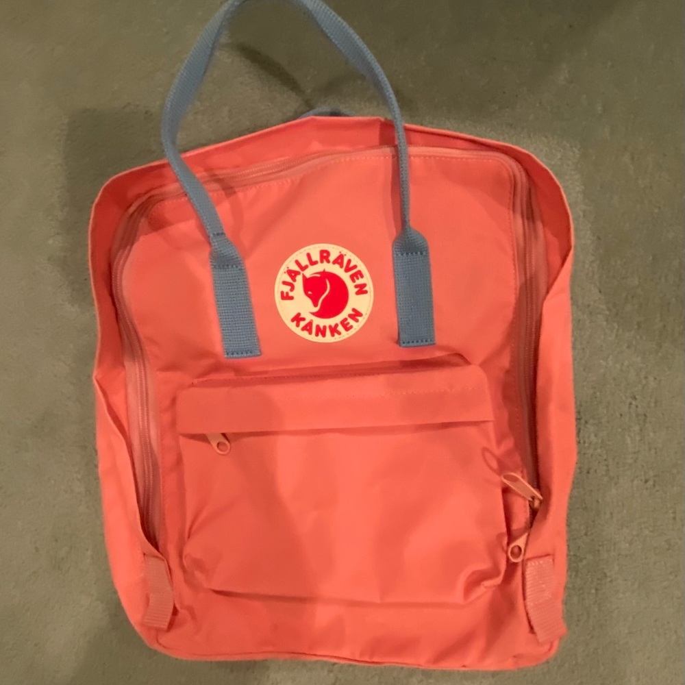 Pink and Blue Kanken Bag